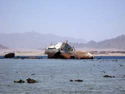 Sharm2012_097